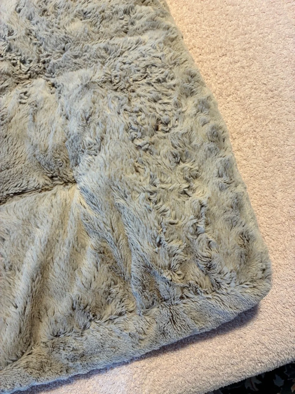 CAT | plush bed